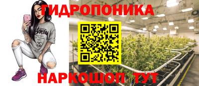 дурь Лесосибирск