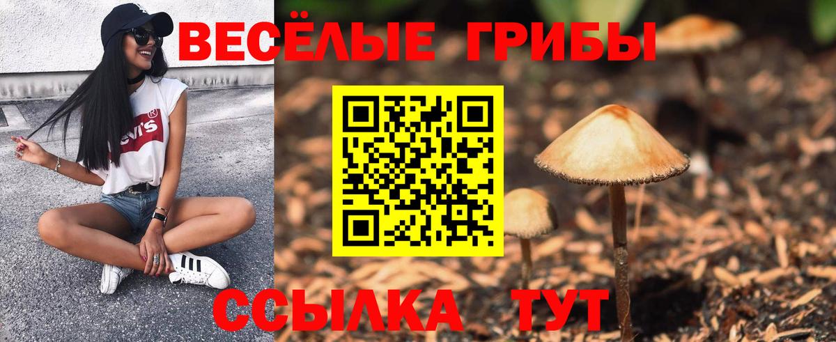 Псилоцибиновые грибы Magic Shrooms Ижевск